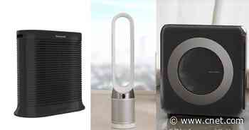 Which air purifier should you get? video     - CNET