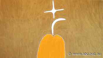 Dreamings turned into benchtops: Traditional owners' sadness as granite miner escapes prosecution