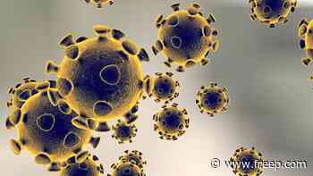 Michigan reports 8,574 new coronavirus cases, 61 deaths over 2-day period - Detroit Free Press