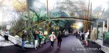 San Antonio Zoo breaks ground on one-of-a-kind jaguar skywalk