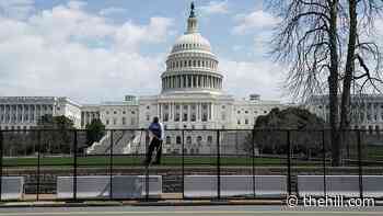 House to allow members, staff to bring some visitors back to Capitol
