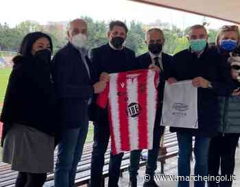 Matelica, Francesco Micciola miglior direttore sportivo 2019-20 - marcheingol.it