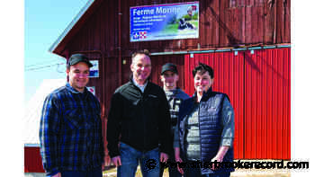 Coaticook farm wins gold for exceptional milk quality - Sherbrooke Record