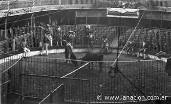 Corridas de toros. Crónica de una pasión perdida en Buenos Aires - LA NACION