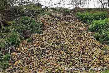 Perenboer stort vracht afvalperen in beschermd natuurgebied in Borgloon