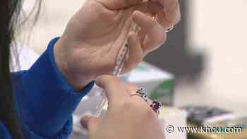 Harris County rolls out new COVID vaccine system with 55,000 appointments available next week - KHOU.com