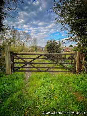 7 great photographs in Bolton taken by our Camera Club members