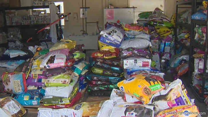 Humane Animal Rescue Hosts Dog Food Giveaway Event