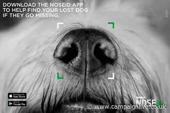 Adam & Eve/DDB creates groundbreaking tech for Iams to rescue lost dogs