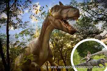 Dino Kingdom is coming to Manchester this summer