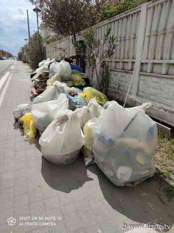 Ardea, una spiaggia senza plastica: tanti giovani all'evento di Plastic Free - Il Caffè.tv