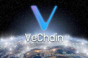 Buy the dip! Lohnt es sich in VeChain (VET) zu investieren? VeChain - Crypto News Flash