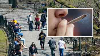 Marijuana activists giving free joints to vaccinated New Yorkers in Union Square on 4/20