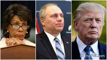 Scalise dismisses comparison between Waters, Trump comments before Capitol riots