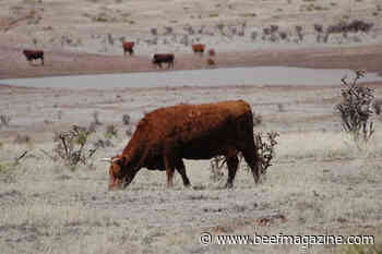 Forage planning for the next year