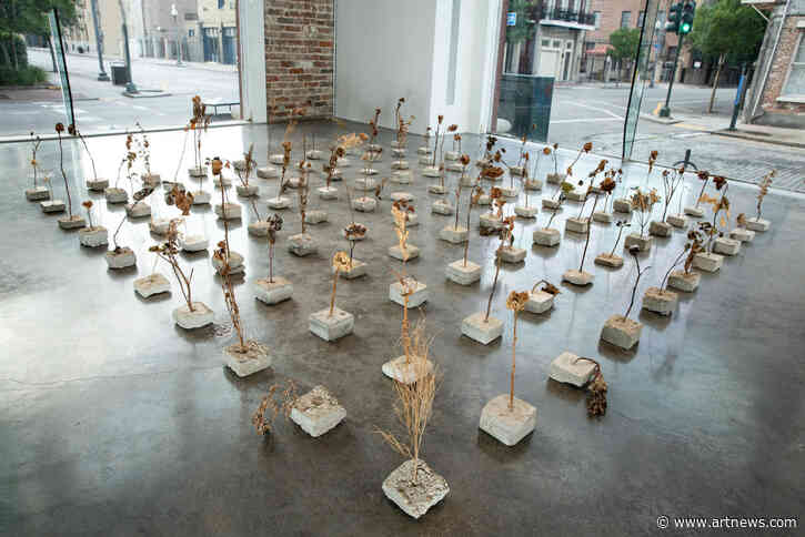 One Work: Rosalie Smith’s “My Mother’s Last Garden”