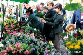 À Arras, le marché aux fleurs du 1er mai est annulé en raison du Covid-19 - actu.fr