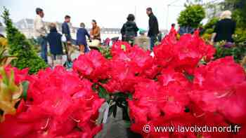 précédent Arras : le marché aux fleurs du 1er mai de nouveau annulé - La Voix du Nord