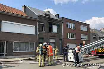 Buur redt bordercollie uit brand: “Over muur geklauterd en deur opengeduwd”