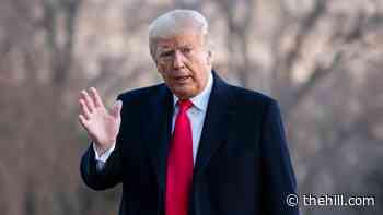 Groups see new openings for digging up dirt on Trump