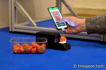 OneThird Raises €1.5M for Its Food-Waste-Fighting Tech - The Spoon