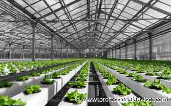 Industry Voice: Better for you, better for the planet - food after Covid - www.professionaladviser.com
