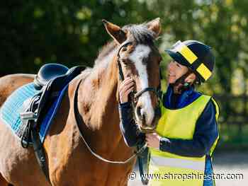 BBC newsreader Faith takes on horse riding challenge for Shrewsbury Food Hub - shropshirestar.com
