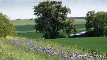 How focus on environment over food will affect land prices - FarmersWeekly