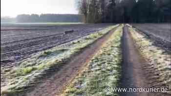 Ministerium rät zu Stöcken, Steinen und Pfefferspray - Nordkurier