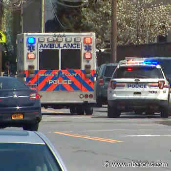 1 dead, 2 wounded in Long Island grocery store shooting; suspect apprehended