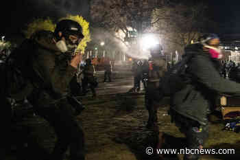 Journalist alleges police asked 'do you speak English?' during her arrest