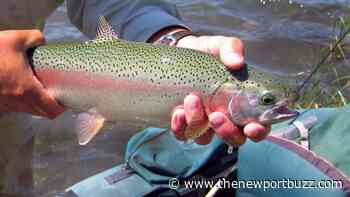 Rhode Island's Trout Fishing Season Opens April 7th - Newport Buzz