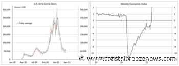 Seeing the Forest through the Trees - coastalbreezenews.com