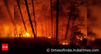 Uttarakhand: 35 forest fires reported in last 24 hours - Times of India