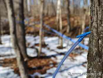 SDG signs sweet deal for Dalkeith forest - Brockville Recorder and Times