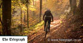 I escaped my river cruise for a Black Forest adventure by bike - Telegraph.co.uk