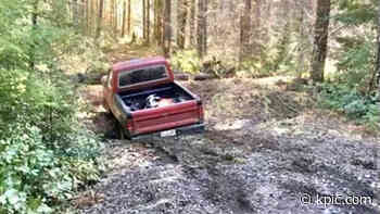 17-year-old driving in unfamiliar Oregon forest found safe after he didn't arrive home - KPIC News