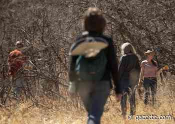 Relax and boost your immune system with forest bathing workshops in Colorado Springs - Colorado Springs Gazette