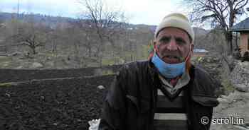 In Kashmir, the long-awaited Forest Rights Act is a boon for some – but pastoralists are anxious - Scroll.in