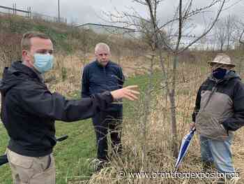 New forest growing in industrial park - Brantford Expositor