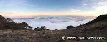 Plans for Kahikinui forest include watershed, invasive species management - Maui News