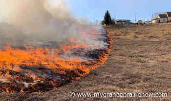 Grande Prairie Forest Area wildfire danger now moderate - My Grande Prairie Now