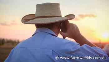 How to gauge what's worth your money on farm