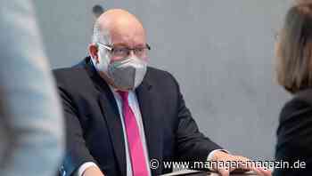 Wirecard-Untersuchungsausschuss: Peter Altmaier stellt sich vor die Wirtschaftsprüferaufsicht Apas