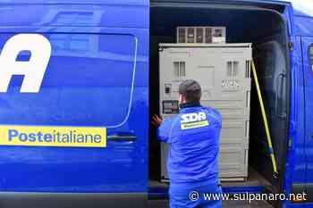 Covid, in arrivo a Modena il 21 aprile altre 4.700 dosi del vaccino AstraZeneca - SulPanaro