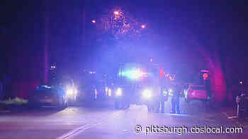 Man Dies After Being Hit By Car In Homewood, Police Searching For Driver Who Fled The Scene