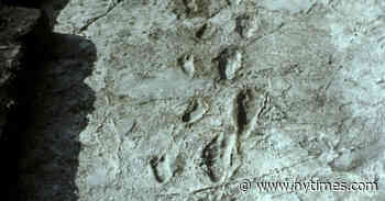 What Made Our Species Unique: Walking