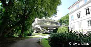 Bauwerk soll Eiche in Salzburger Welterbezone umwachsen - Wiener Stararchitekten warten auf grünes Licht - Salzburger Nachrichten