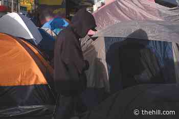 Left feels empowered after Biden backtracks on refugees
