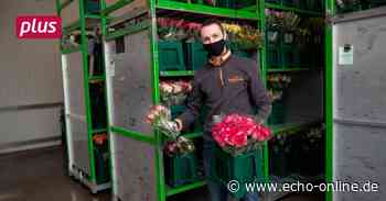 Rhein-Neckar Bunte Blumen aus Hirschberg gegen die Corona-Trübsal - Echo Online